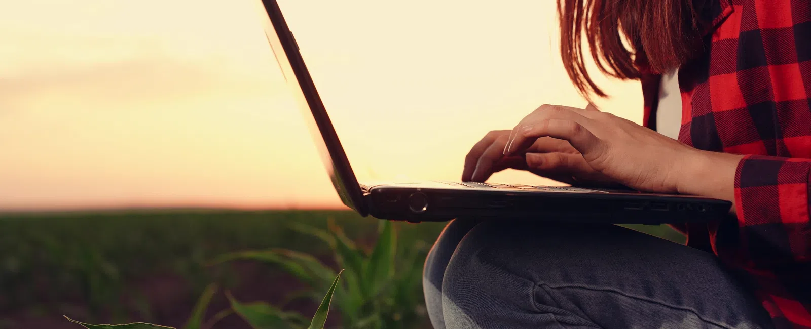 Person in plaid shirt working on laptop outdoors in a field at sunset, focusing on hands and device.