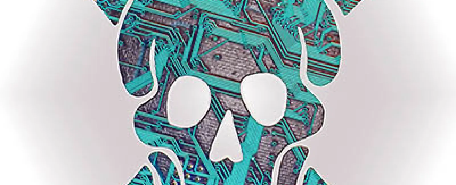 Skull and crossbones graphic with circuit board pattern symbolizing cyber threat or hacking dangers.