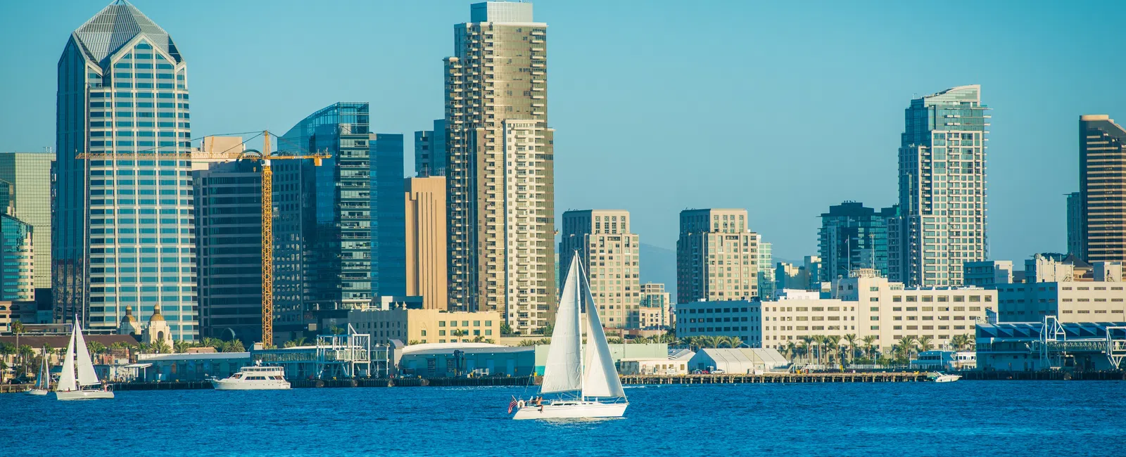 Sailboats on blue water with a modern city skyline and clear sky in the background during daytime.