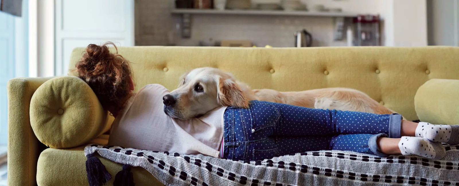 a dog lying on a couch