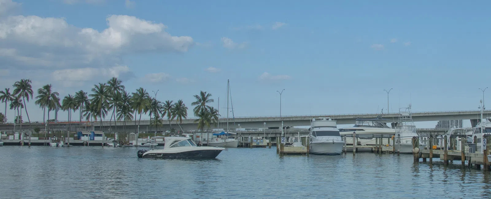 Boat marina in Palm Harbor, Florida with palm trees, yachts, blue sky, and calm water near a bridge on a sunny day