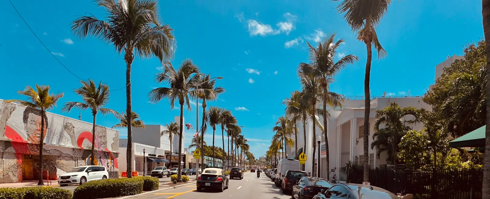 Sunny street lined with palm trees, parked cars, murals, and clear blue sky on a bright day.