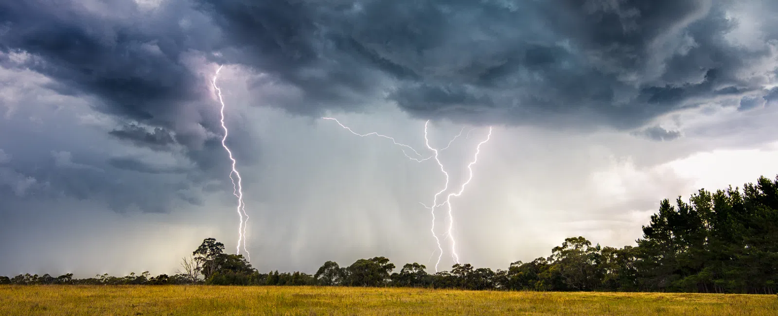 Lightning strikes over a wide grassy field under dark stormy clouds at dusk.