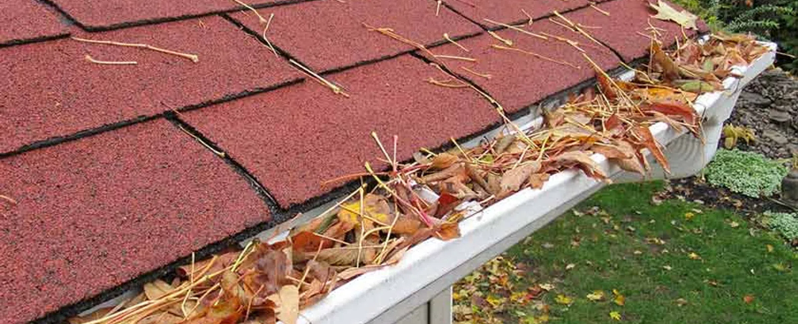 Clogged white gutter filled with dry leaves and twigs on a house with red shingle roof in autumn.