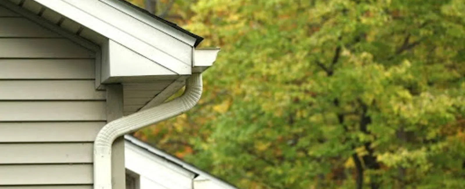 Two beige house roofs with white gutters and downspouts against a background of green autumn trees.