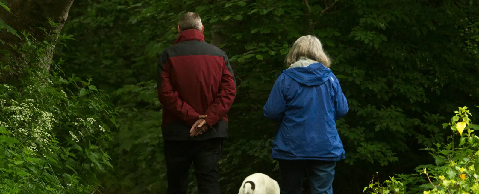 a man and woman walking a dog on a trail in the woods