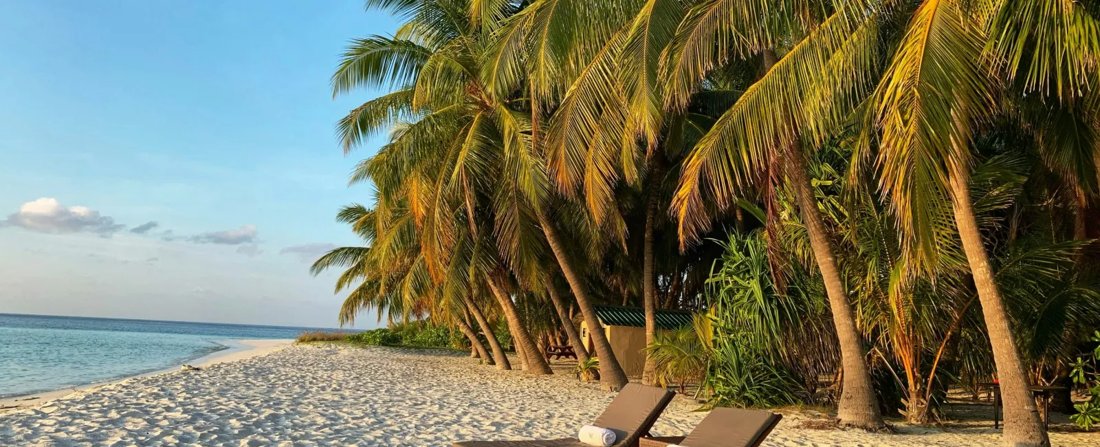 a lounge chair and palm trees on a beach