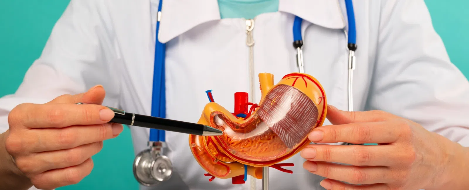 Types of Bariatric Surgery (Weight Loss) and Its Requirements