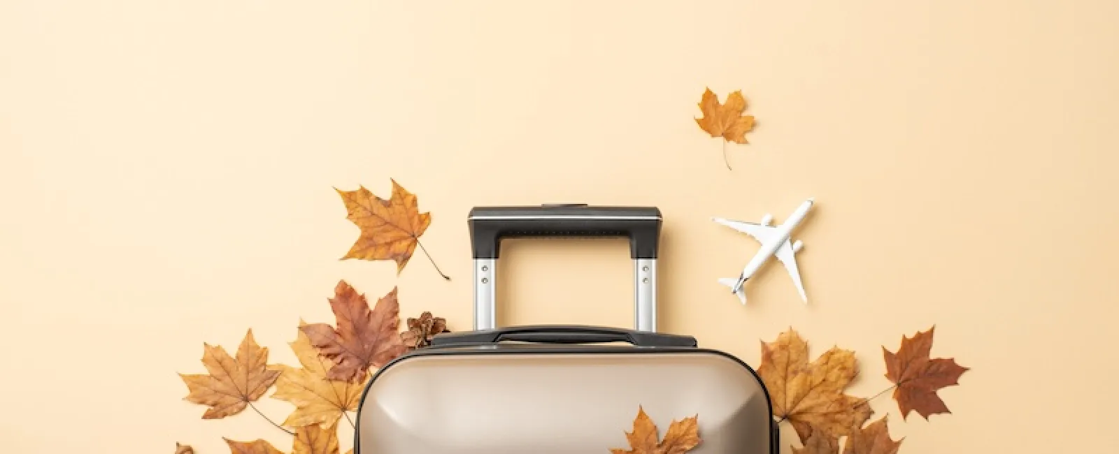 Why Your Legs Hate Holiday Travel (And How to Fix It Before December)