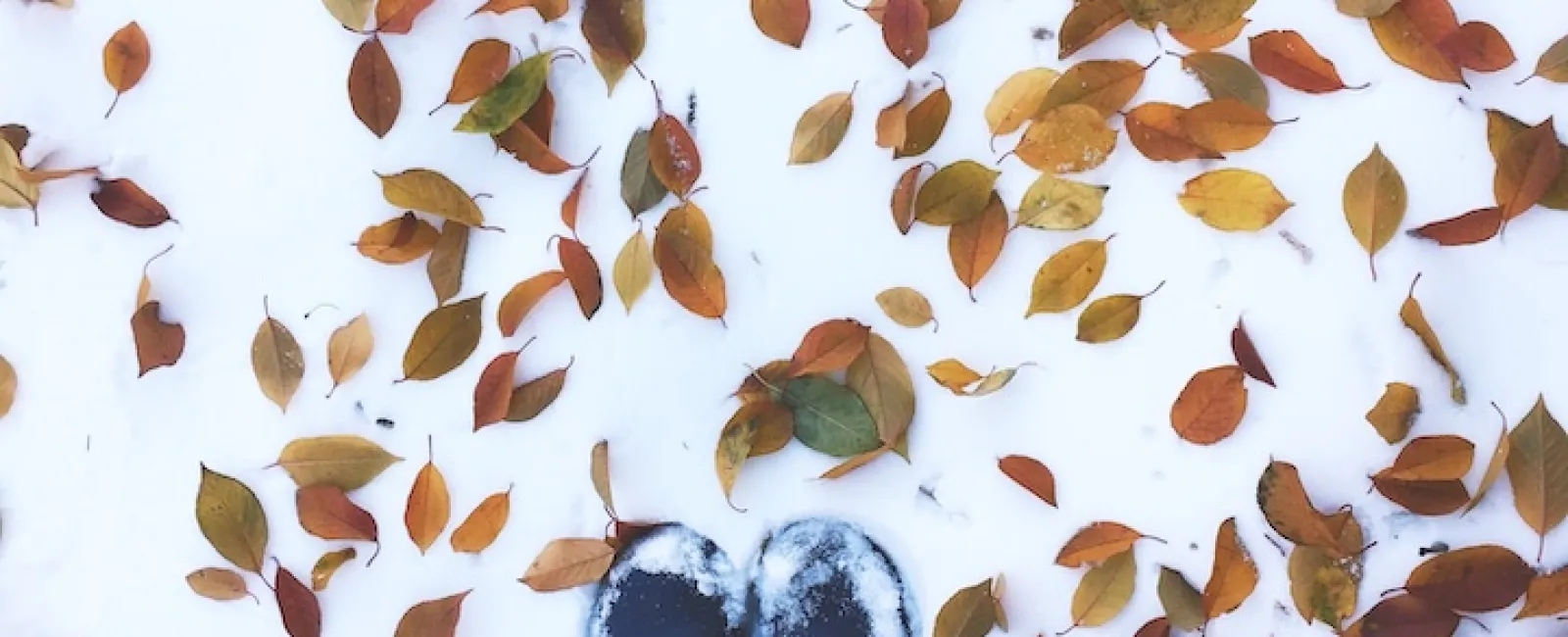 Vein Season Is Here: Why You Should Treat Your Legs This Fall or Winter