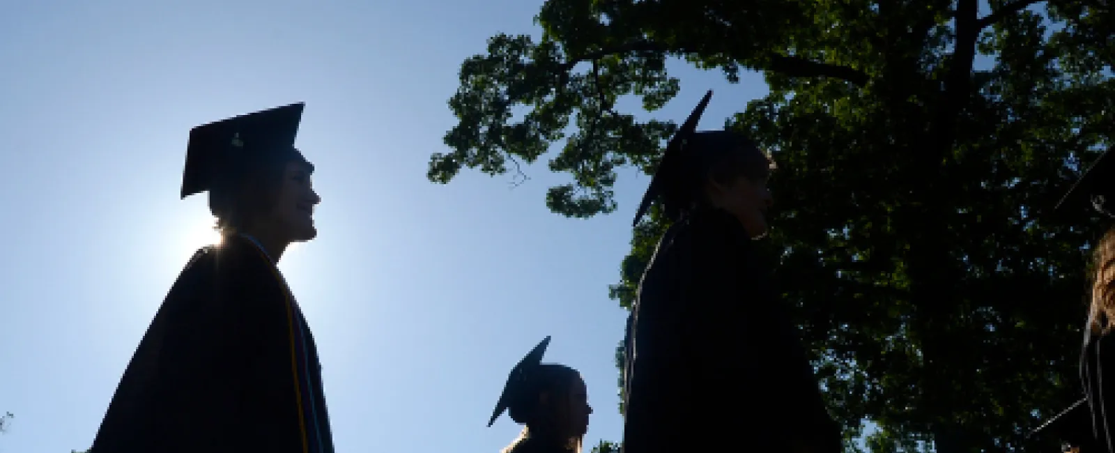 Silhouetted graduates in caps and gowns walking outdoors with trees and clear sky in background at graduation ceremony.