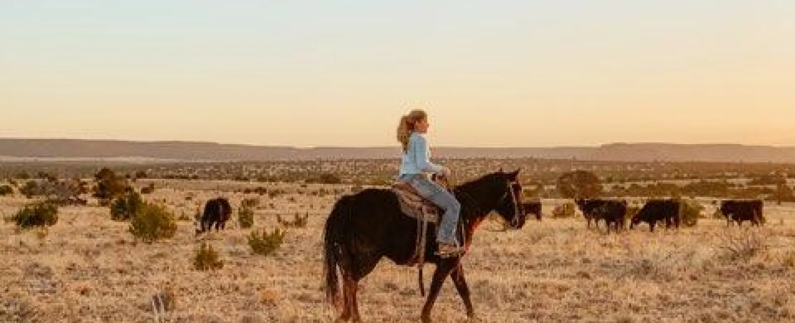 Woman riding a horse in a dry grassy field with cattle in the background during sunset.