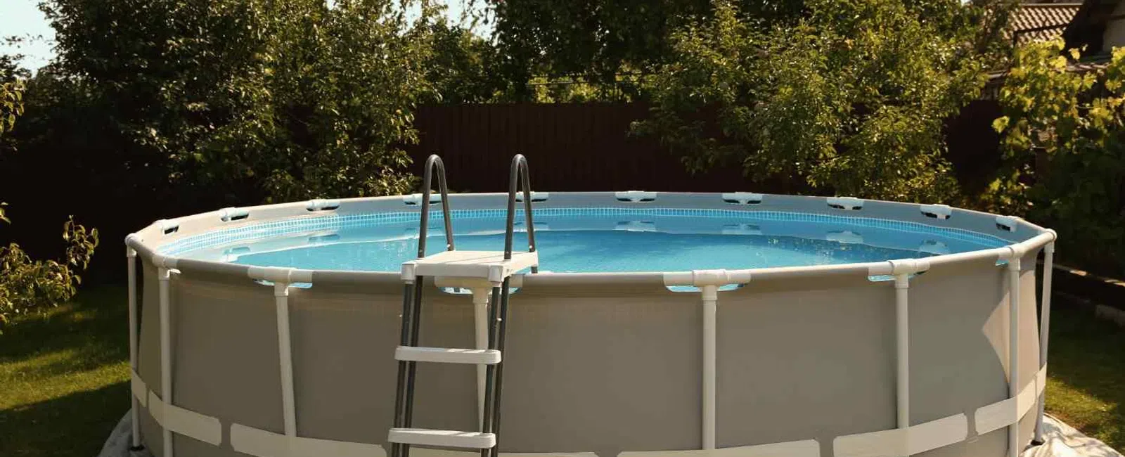 Round above-ground swimming pool with ladder set up in a sunny backyard surrounded by trees and grass