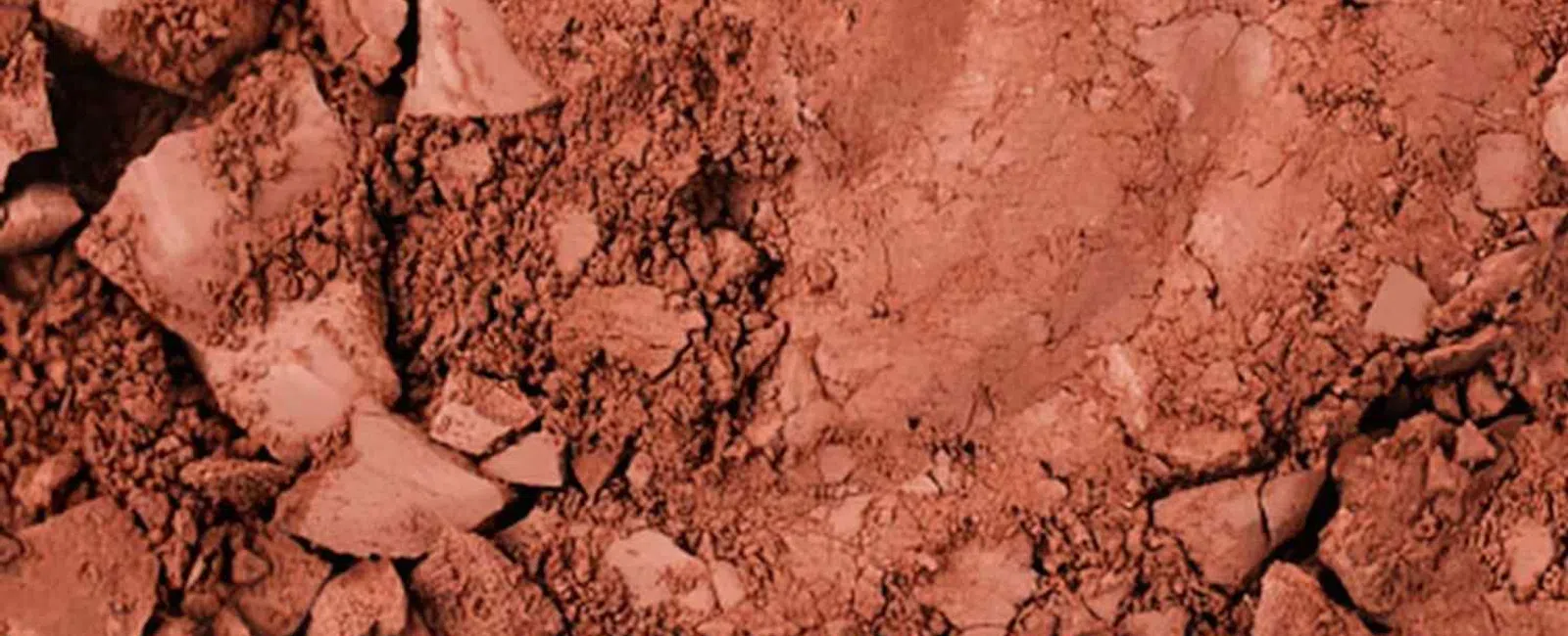 Close-up of cracked, dry reddish-brown soil with scattered small rocks and dust particles.