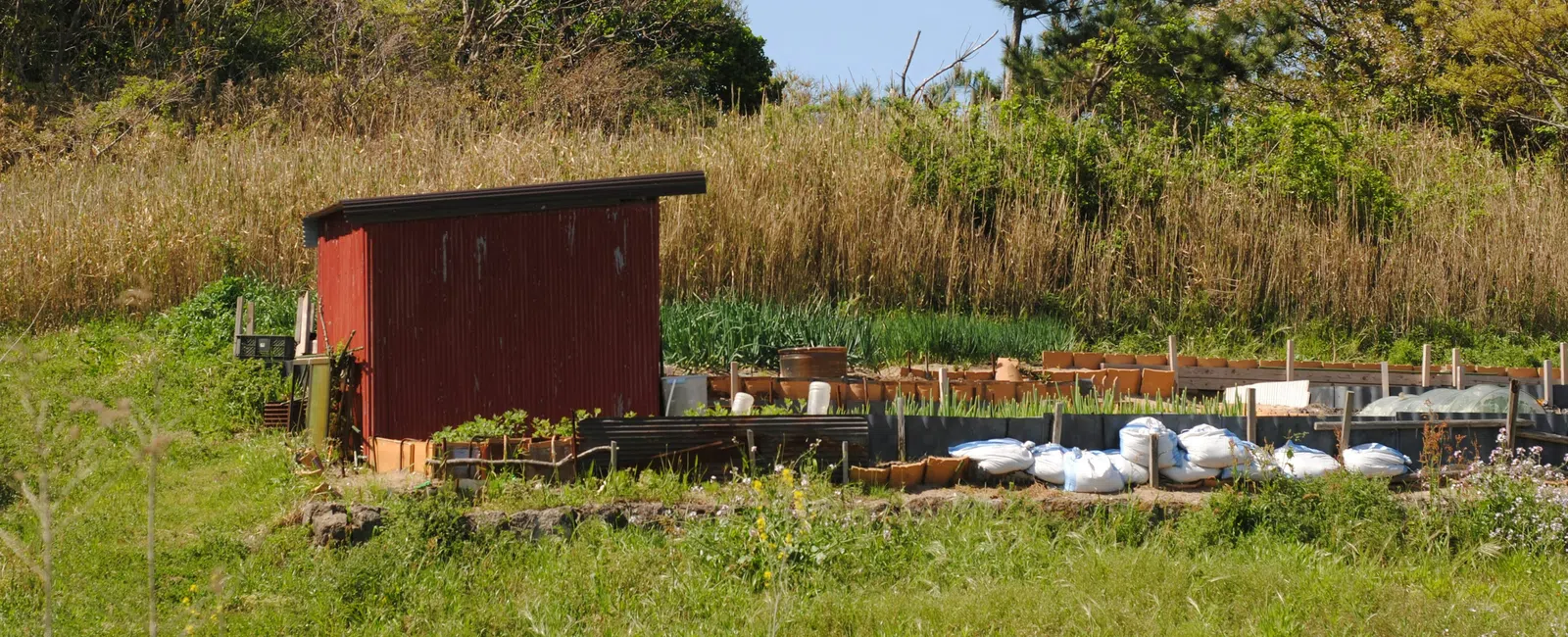 Small red garden shed next to a fenced vegetable garden surrounded by green grass and trees under a clear sky