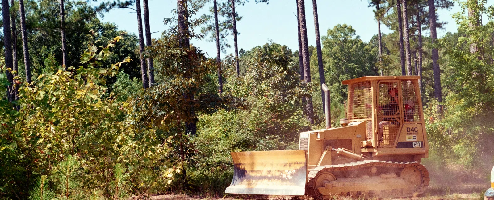 Yellow bulldozer clearing dirt path in a forested area with tall pine trees and green foliage.