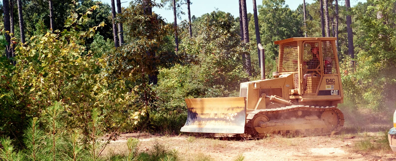 Yellow bulldozer clearing dirt path in a forested area with tall pine trees under a clear blue sky.