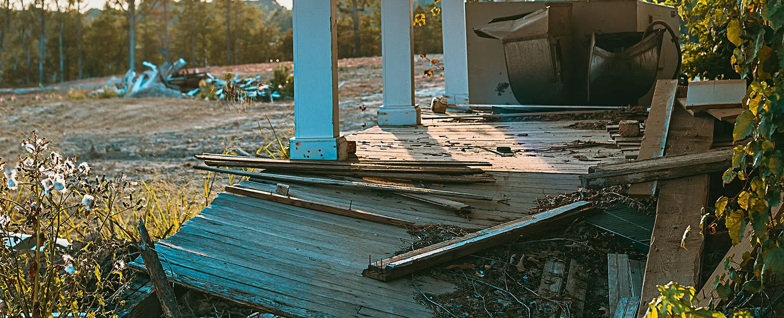 Sunlit abandoned porch with broken wooden floorboards and overgrown vines in rural setting.