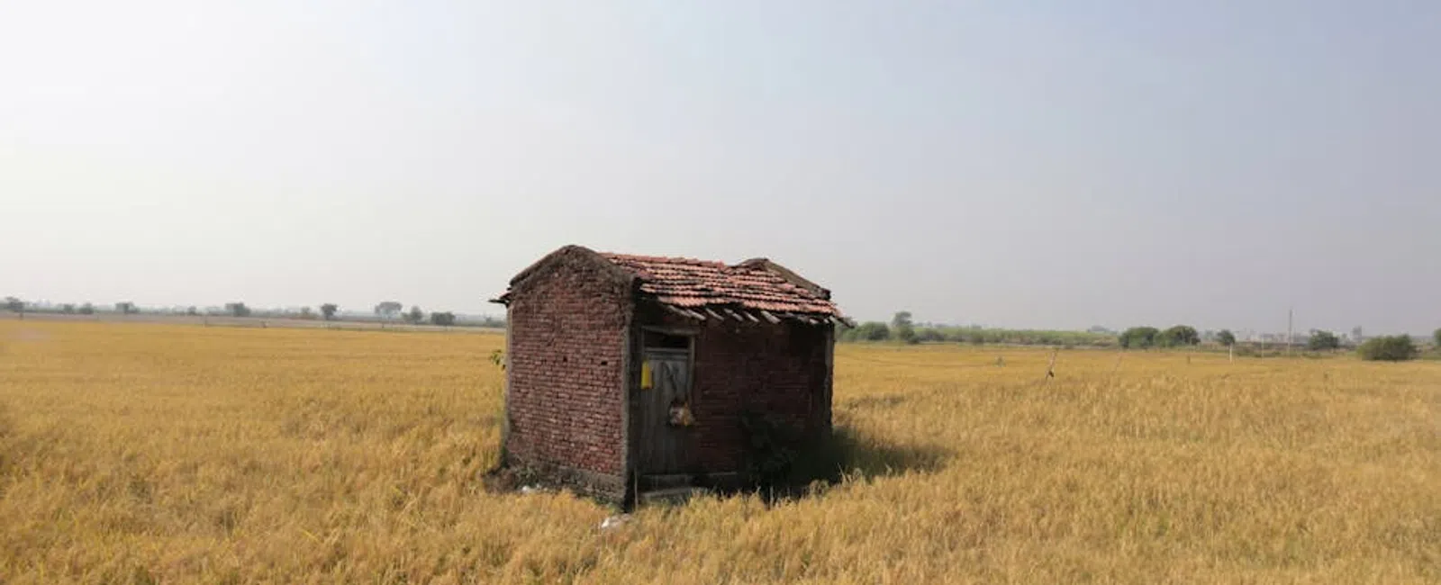 Old Shed Removal Costs: A Comprehensive Guide