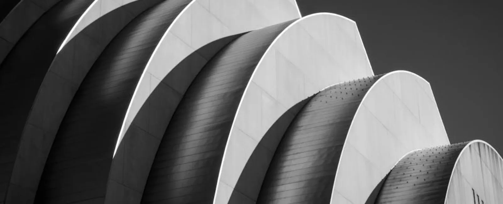Black and white close-up of modern curved architectural roof structures with strong light and shadow.