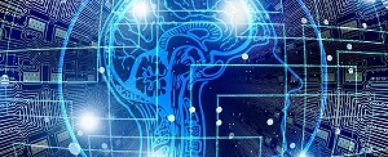 The Rise of AI Tools and Their Impact on Business Processes