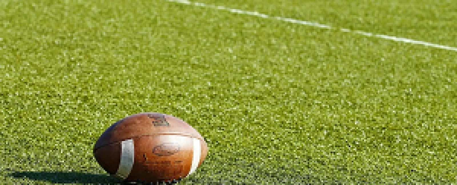 The San Francisco 49ers Recently Hit With Ransomware Attack