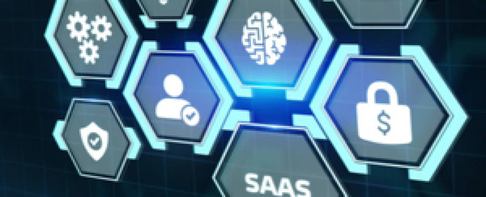 How to Choose the Right Software for Your Business Needs