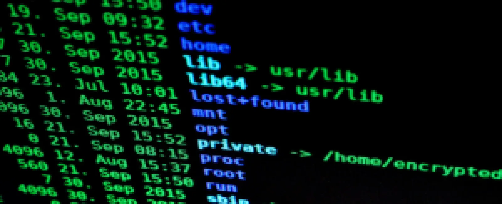 Strengthening Cybersecurity Defenses in Real-Time