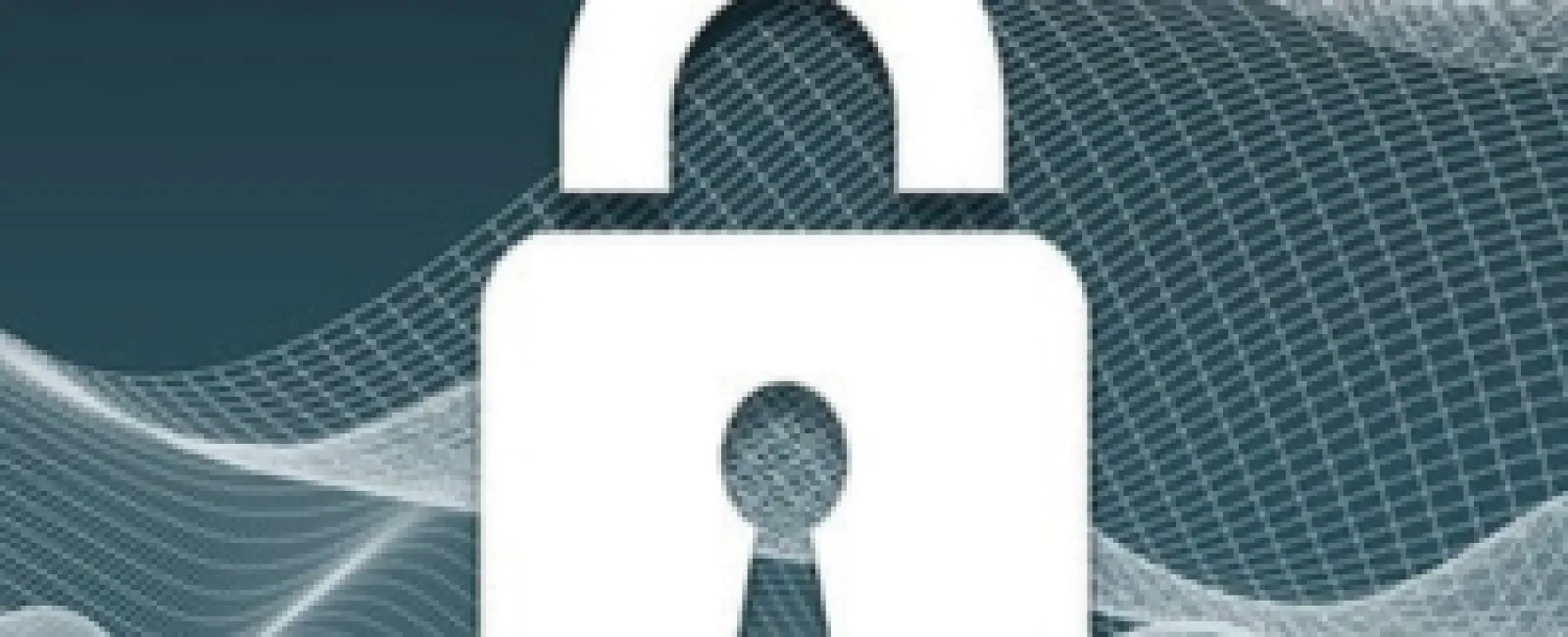 Protect Your Business: Getting to Know the Top Software Threats