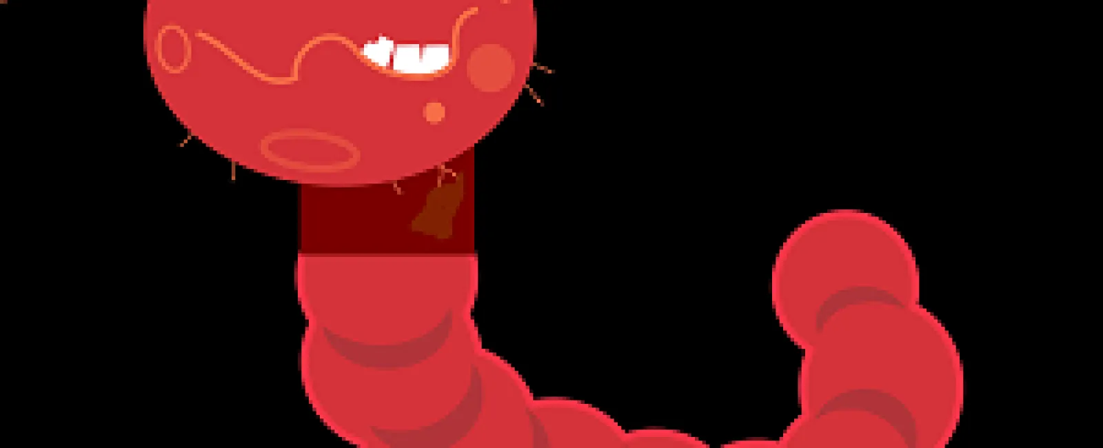 Raspberry Robin Worm In Hundreds Of Windows Networks