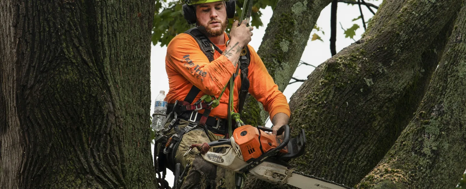 a man in a helmet sitting on a tree branch