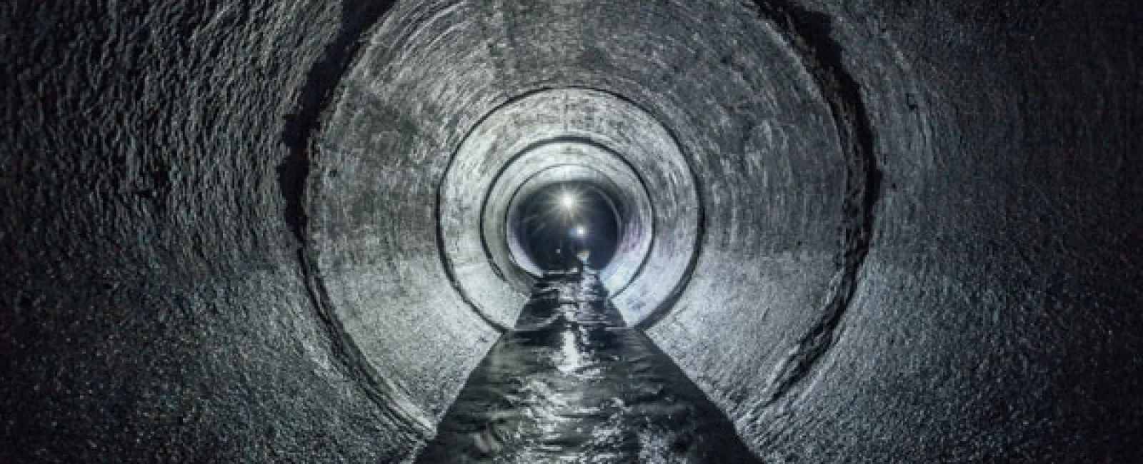5 SIGNS YOU NEED A SEWER LINE CLEANING