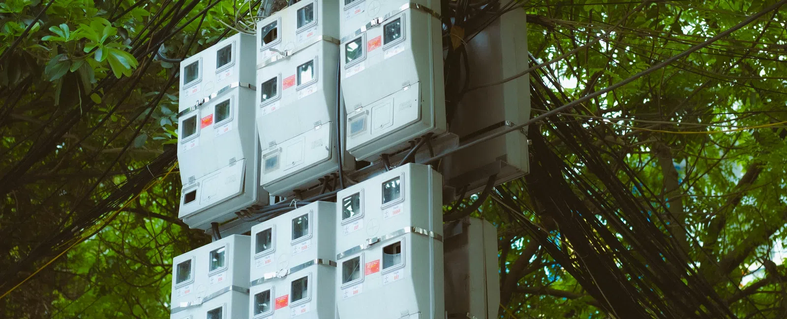 Multiple white electricity meters mounted on a pole with tangled black wires surrounded by green trees.