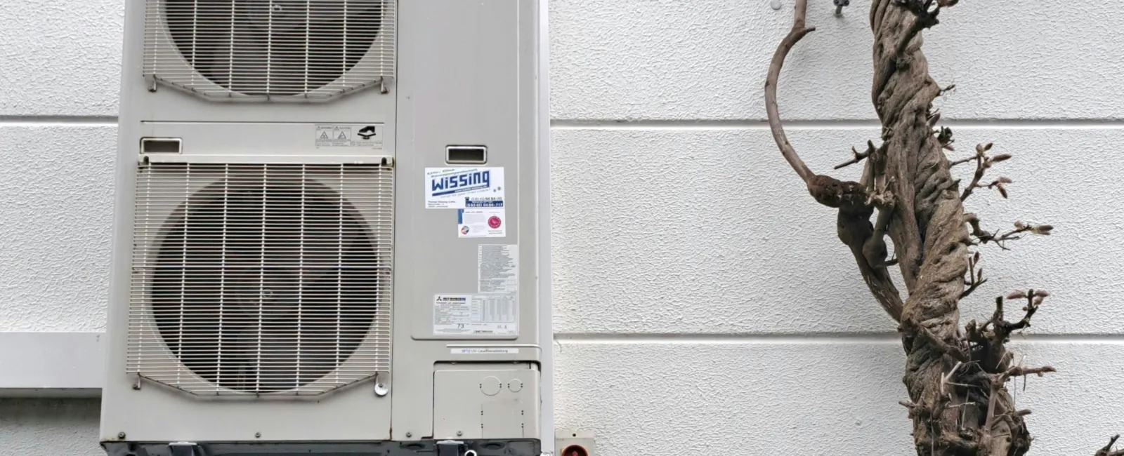 Outdoor air conditioning unit mounted on wall beside twisted leafless tree with climbing vine.
