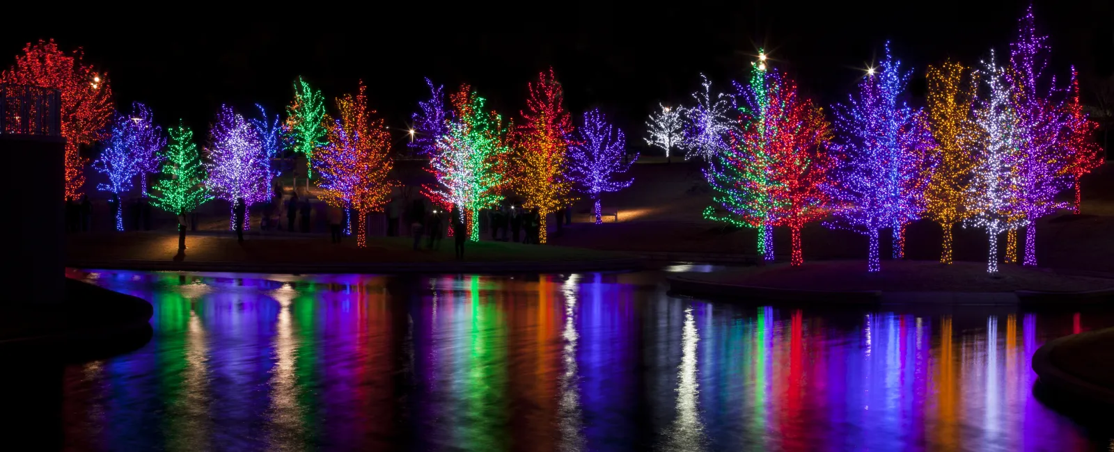 Colorful trees decorated with vibrant lights reflecting on calm water at night