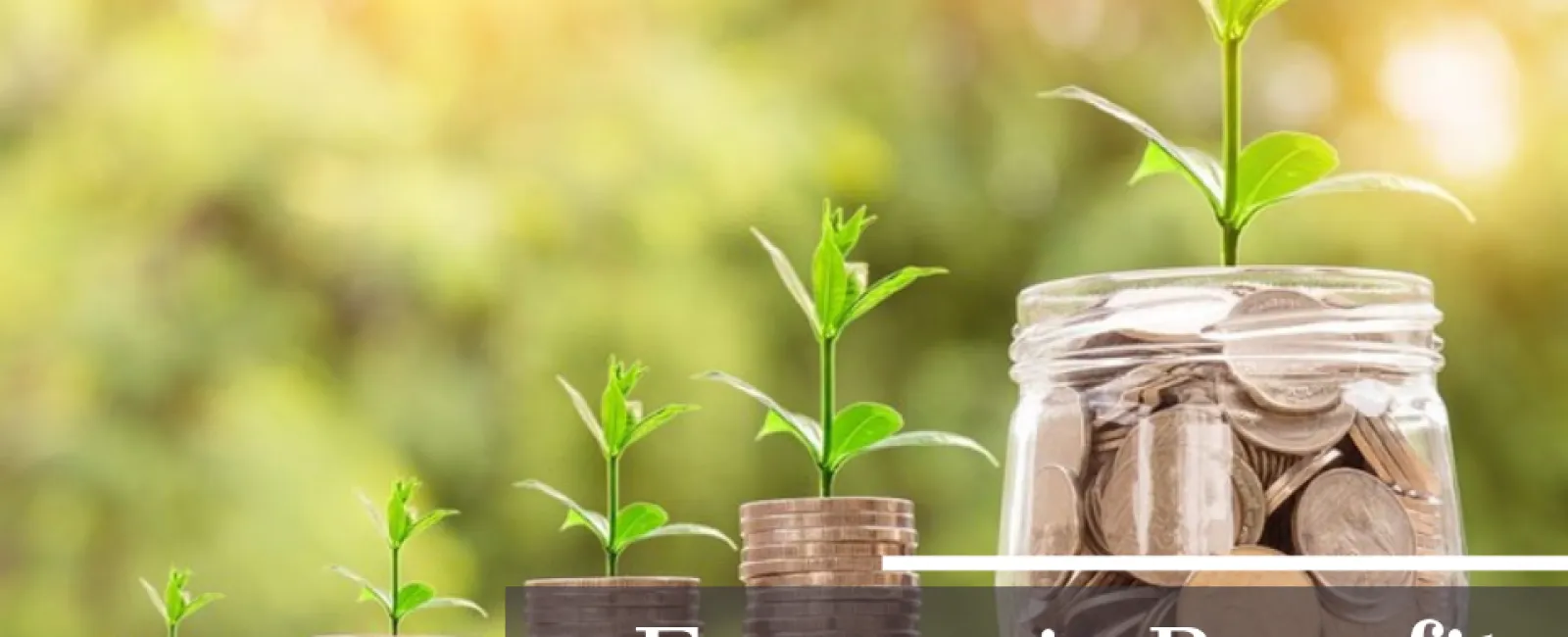 AUTOMATED RECYCLING SORTING PRACTICALITY AND BENEFITS