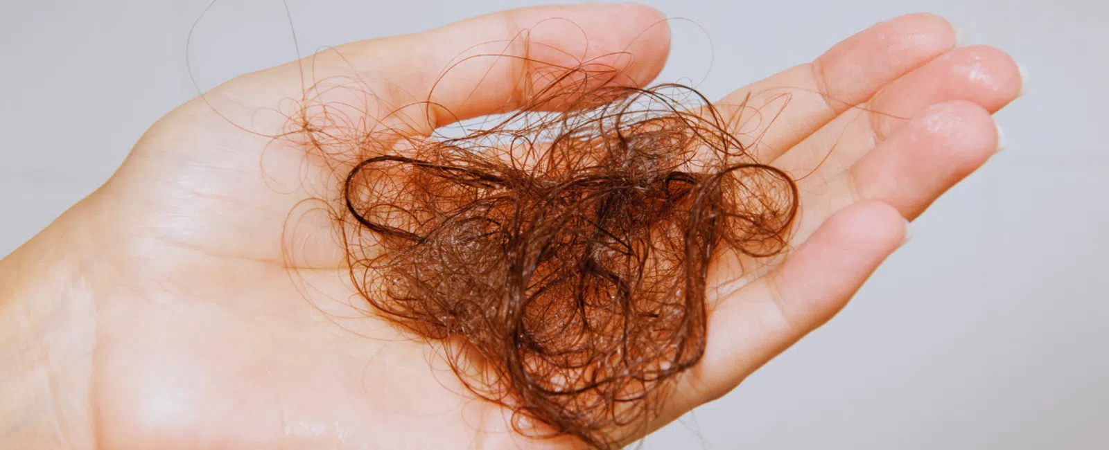 Hand holding a clump of brown hair strands, illustrating hair loss or shedding issues.