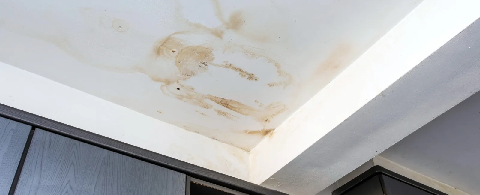 Water Stain on Your Ceiling? Here Is What It Means and What to Do Next
