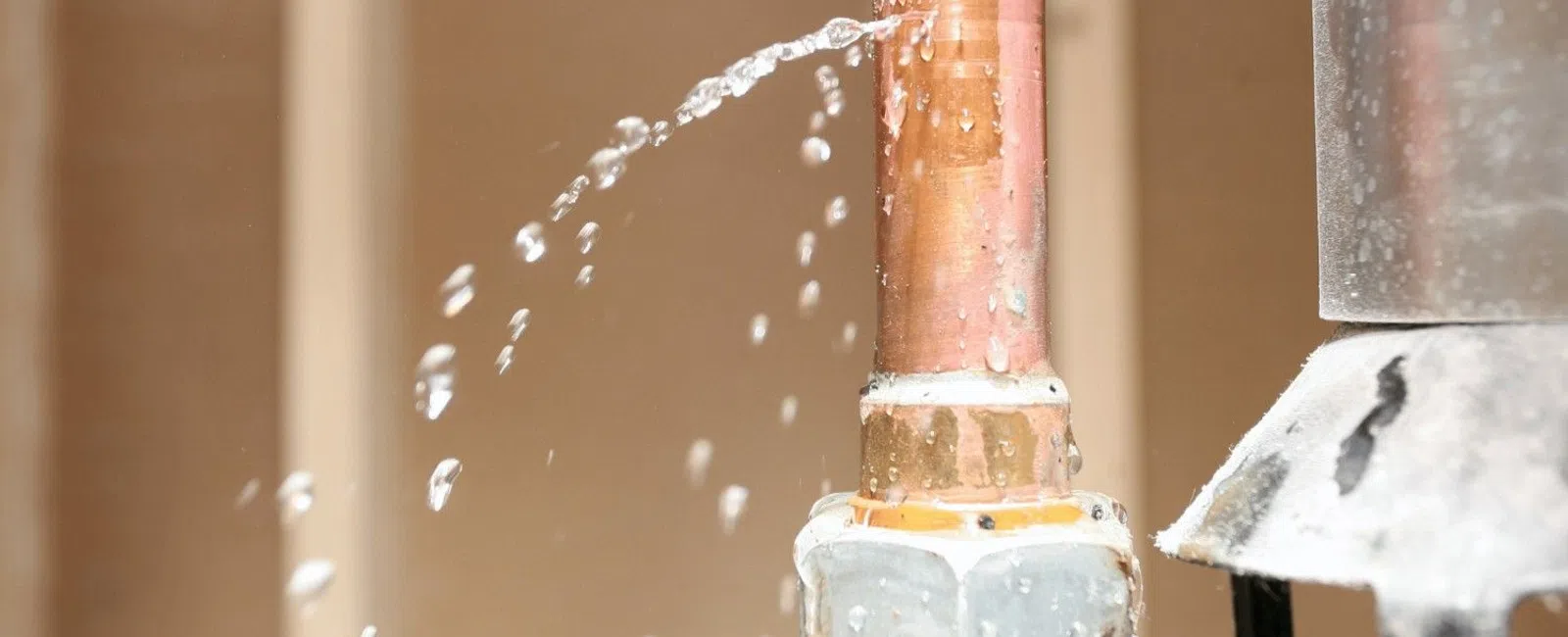 Why Your Dishwasher Leaks (and Where to Look First)