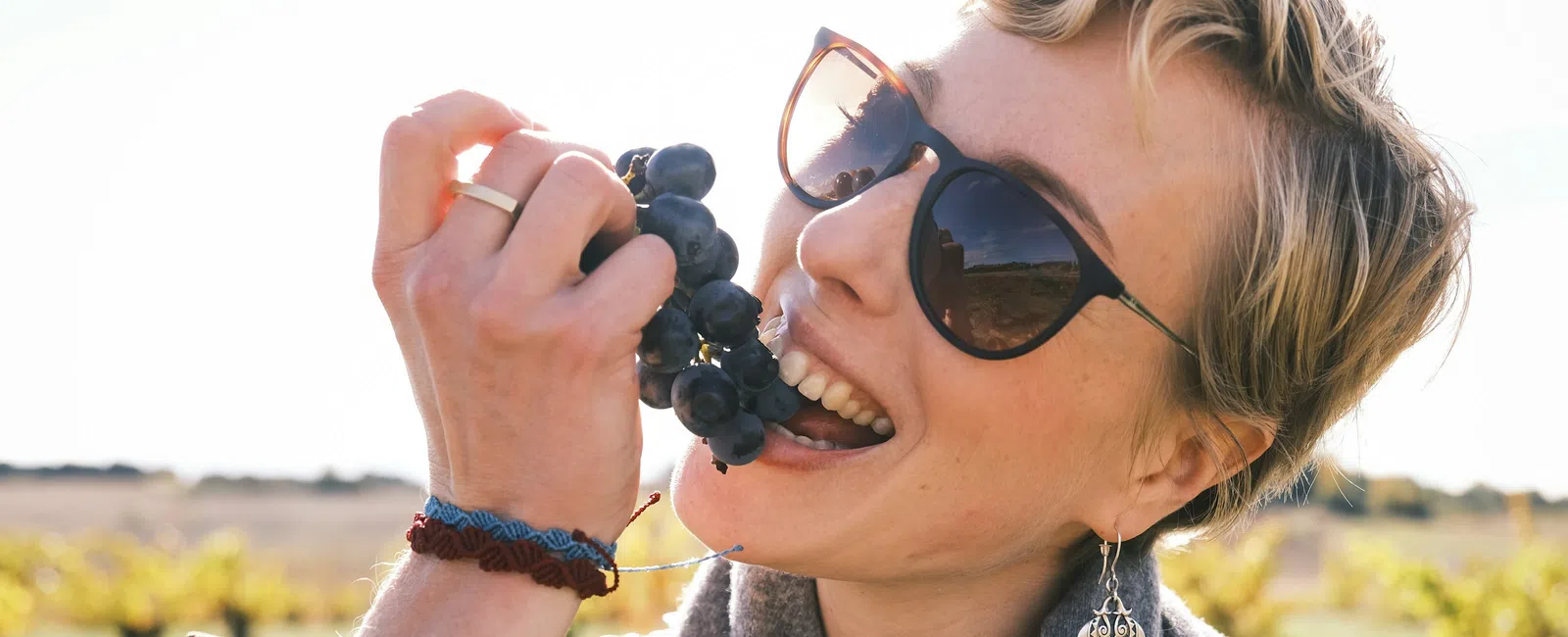 Woman wearing sunglasses enjoys eating fresh grapes in a sunny vineyard with autumn colors in the background