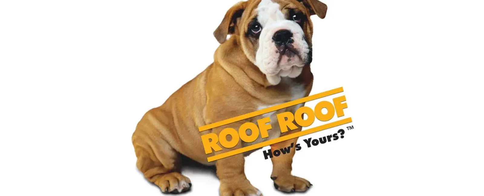 Findlay Roofing's Website Performs!