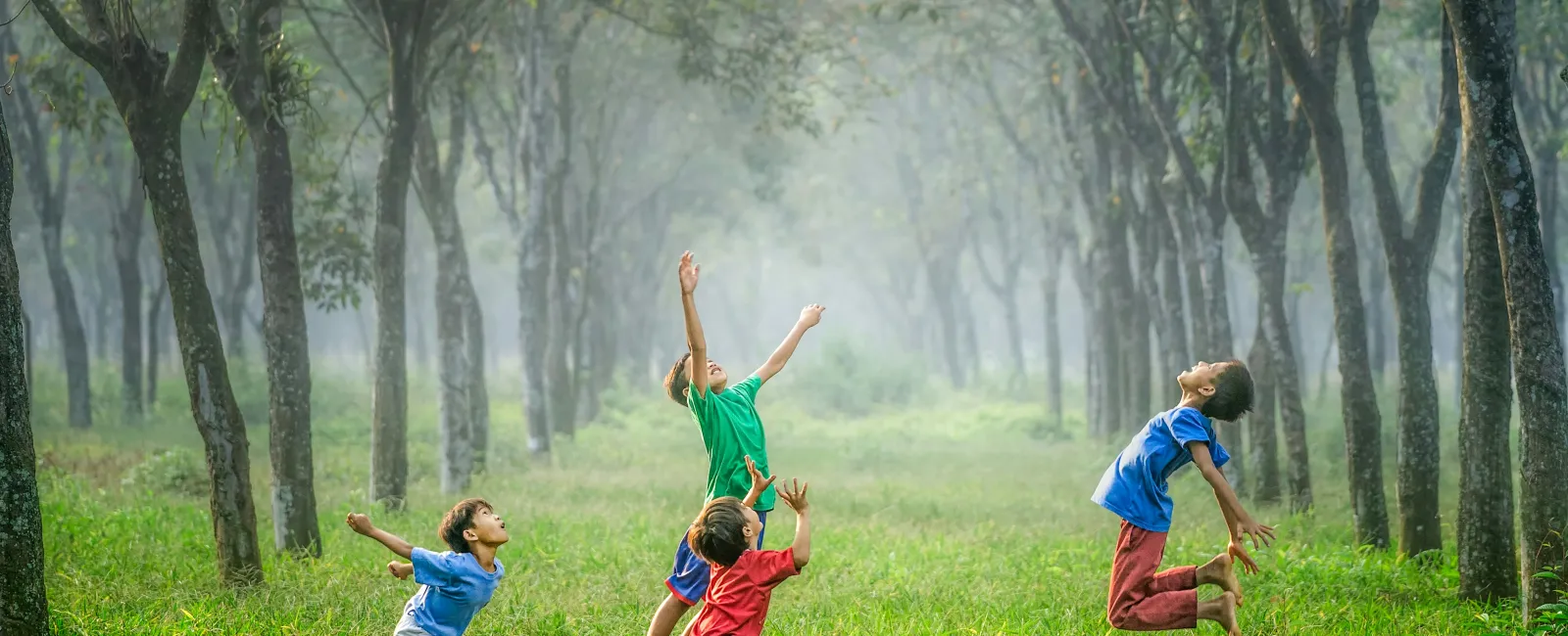 a group of kids playing with a ball in a grassy field