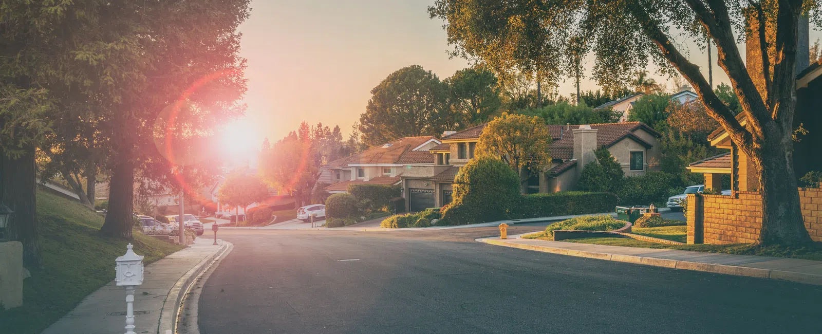Sunset over a quiet suburban street lined with houses, trees, and parked cars on a peaceful neighborhood road.