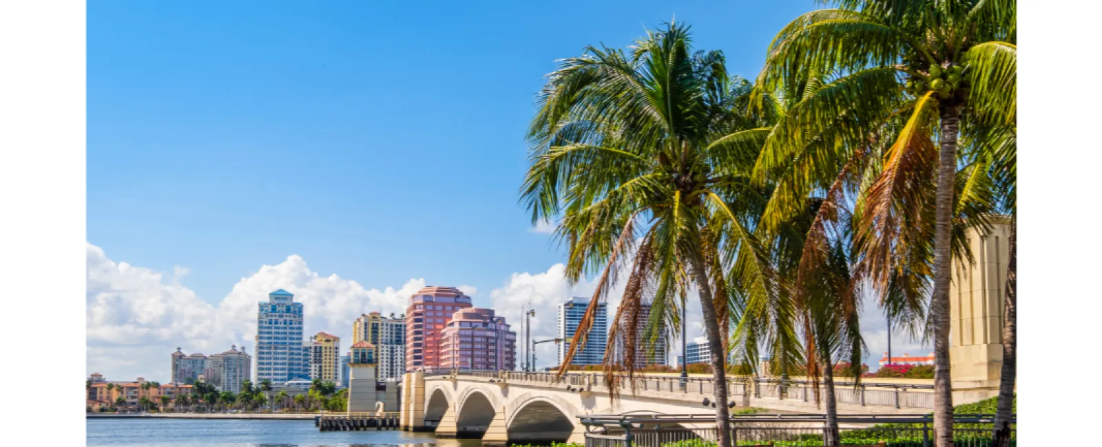 Palm trees and bridge over water with city skyline under a clear blue sky in a tropical urban setting