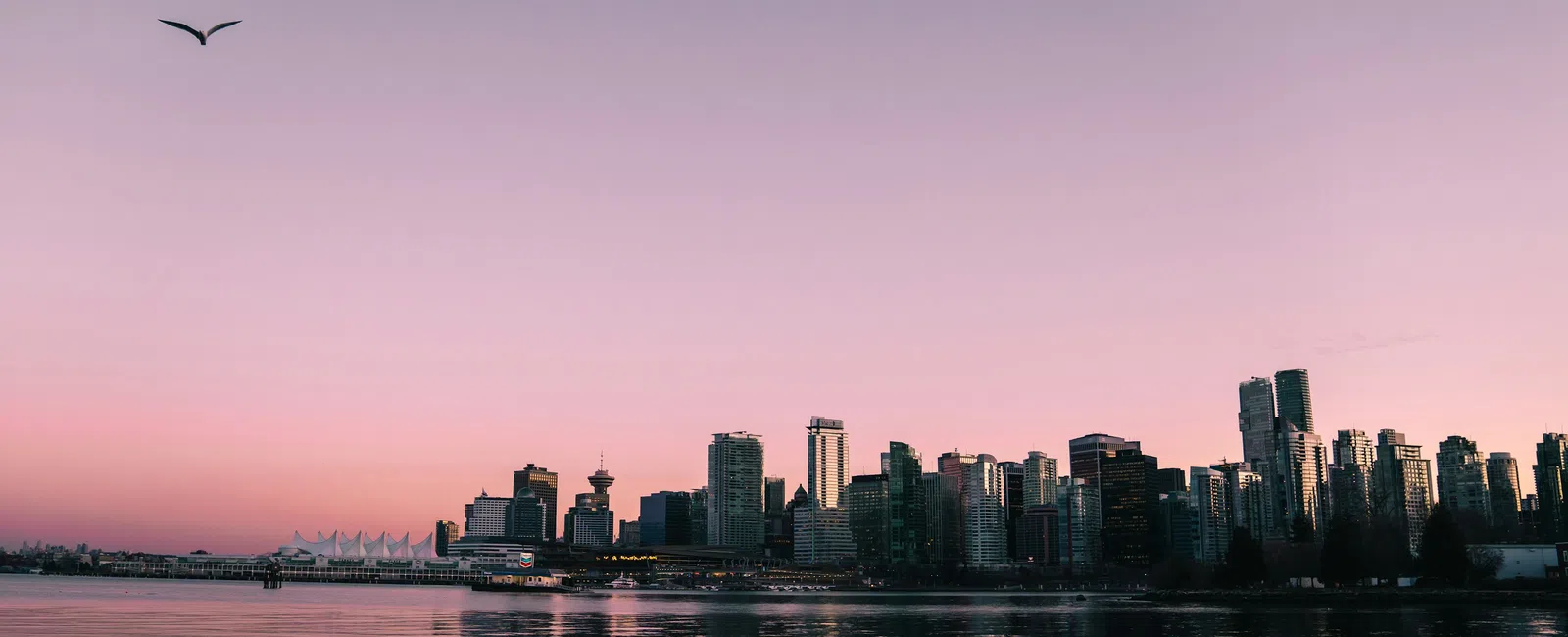 Calm waterfront city skyline at sunset with pink sky and a lone bird flying above skyscrapers reflecting in water.