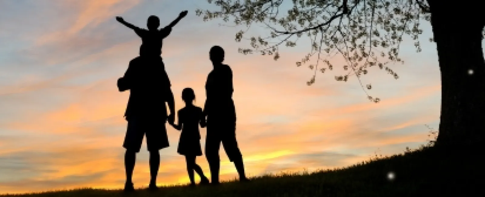 Silhouetted family of four standing on a hill at sunset under a tree with colorful sky.