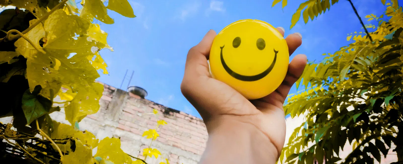 Hand holding a yellow smiley face ball against a bright blue sky framed by leafy branches and a brick wall.