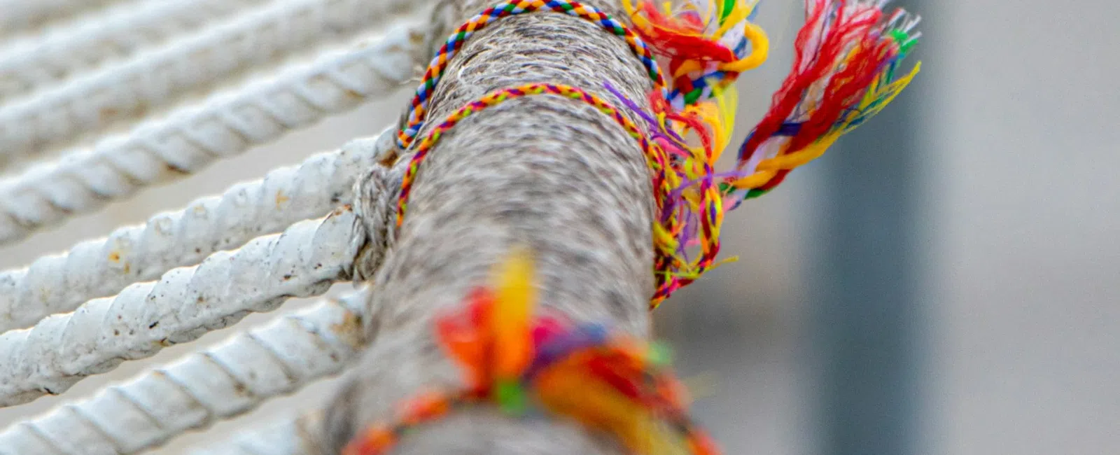Close-up of colorful woven friendship bracelets tied around a rope railing with white ropes in the background.