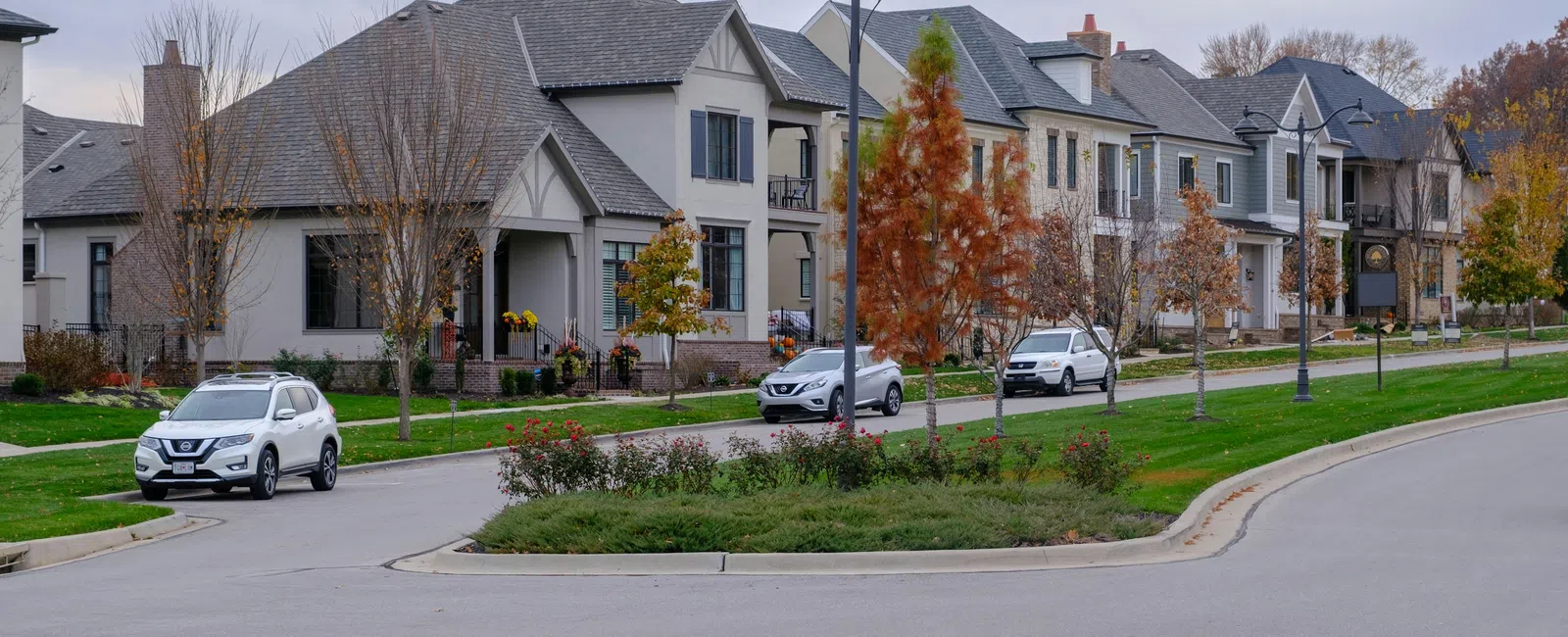 Quiet suburban street with modern houses, autumn trees, and parked cars under overcast sky in residential neighborhood.