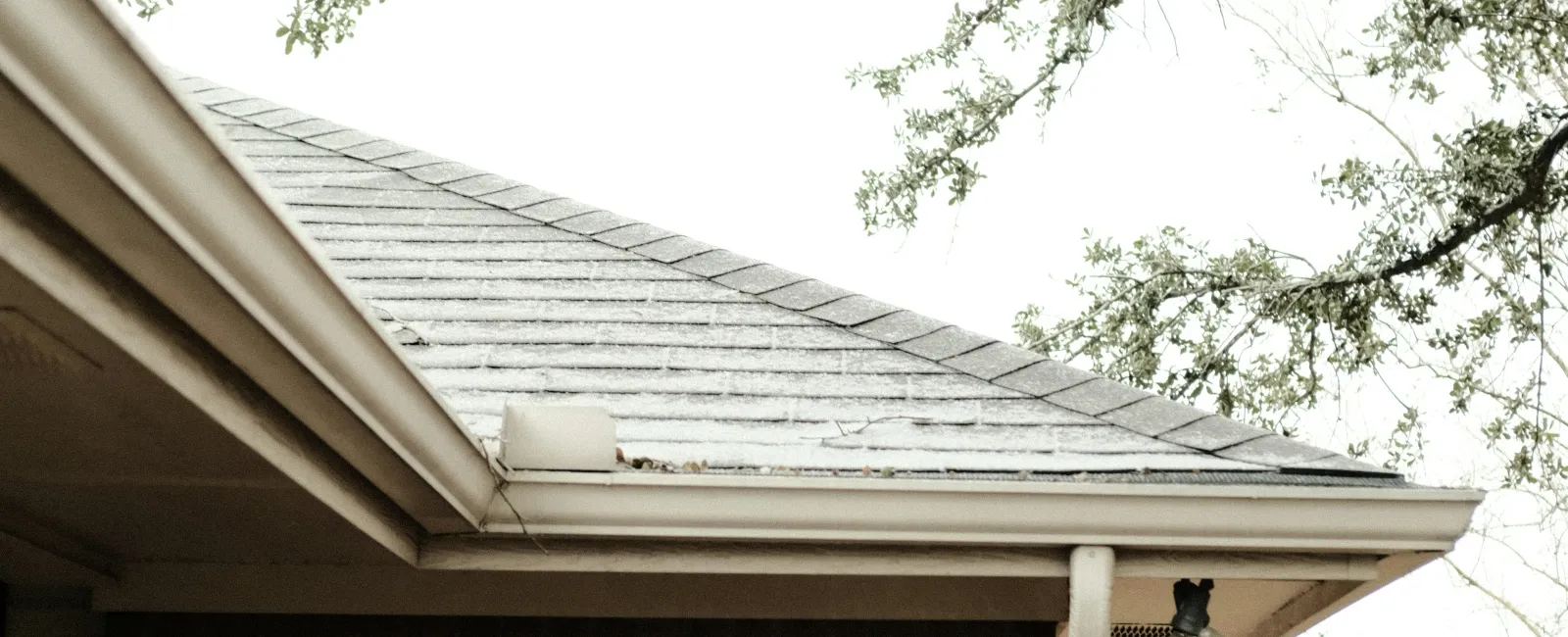 Brick house exterior with gray shingle roof, wooden fence, and tree branches overhead on an overcast day